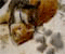 blotzie's Avatar