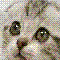 Bunni's Avatar