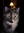 tigerrain's Avatar
