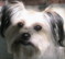 Darla_6's Avatar