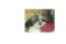 Savana_morgan's Avatar