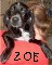 lookin4caninecompanion's Avatar
