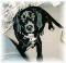 4theloveofzoe's Avatar