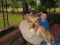mydogfred's Avatar