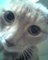 Hellojosie's Avatar