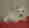 mollette1's Avatar