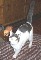 kittysr4me's Avatar
