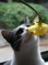 lldaniels21's Avatar