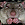 Rover Patch Rescue's Avatar