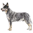 scotia's Avatar