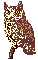 owlwatcher_974's Avatar