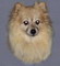 Jeannie girl's Avatar