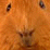 anime_saga's Avatar