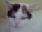 Jess's_mum's Avatar