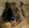 azchurch's Avatar