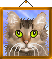 LaPermCats's Avatar