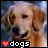 xsyd's Avatar