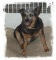ACD Mom's Avatar