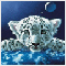 wvmutts's Avatar