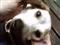 coolierthanthou's Avatar