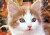 Canumeow's Avatar