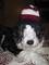 Dudster's Avatar