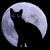 CheshireCat28's Avatar
