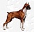 Smoke & Allison's Mama's Avatar