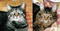 JadeandLexi'skittymom's Avatar