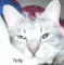 tellykitteh's Avatar