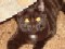 gazebofun1's Avatar