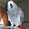 Zygo's Avatar