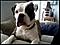 Gibson's Mommy's Avatar