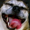 Casper's Avatar