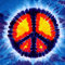 shake42d0wn's Avatar