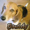buddy.09's Avatar