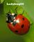 Ladybug06's Avatar