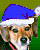 jopfef's Avatar