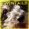 TwinTails's Avatar