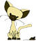 meetthemews's Avatar