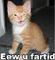 DarntheCat's Avatar