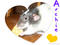 nikshay's Avatar
