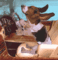 LokiDog's Avatar