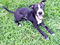 cinchatham's Avatar