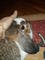 beardie87's Avatar