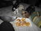 caninelover's Avatar