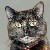 Cleocatra's Avatar