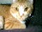 Authordiva's Avatar
