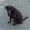 lsmerdon's Avatar