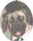 chanel5's Avatar